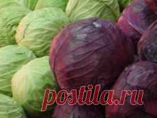 Импортозаблуждение вместо импортозамещения - Росбалт.ру