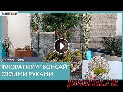 Как сделать флорариум с бонсай своими руками | Мастер-класс В этом видео флорист Оксана Седова, основатель Your Flowers, совместно с компанией "7ЦВЕТОВ" рассказывает, как создать флорариум с бонсай. В...