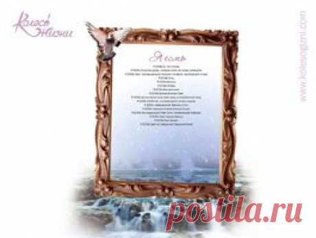 Журнал Колесо Жизни