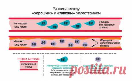 775060.jpg (841×516)