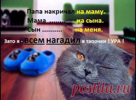 КОТЫ и БАШМАКИ - вечная тема