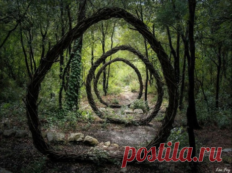 25 невероятных фотографий без фотошопа