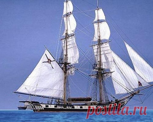 Копию легендарного брига построят на верфи в Петрозаводске