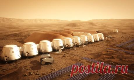 На Марс полетят первые обезьяны | KaftanSmeha