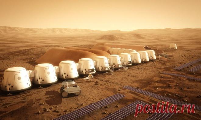 На Марс полетят первые обезьяны | KaftanSmeha