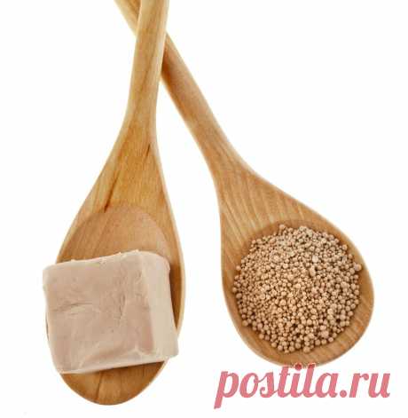 10 натуральных удобрений для домашних цветов | Мамам, женщинам, бабушкам и очень любознательным.