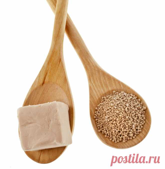 10 натуральных удобрений