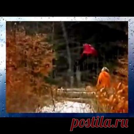 : Если Бог хочет сделать тебя счастливым, то он ведёт тебя самой трудной дорогой, потому что лёгких путей к счастью не бывает.