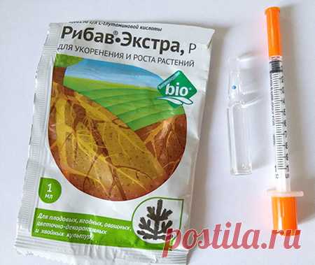 Суперстимуляторы для дружного прорастания семян - Садоводка