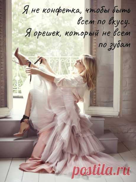 Выпуск №6564 - выпуск анекдотов сайта вокруг смеха