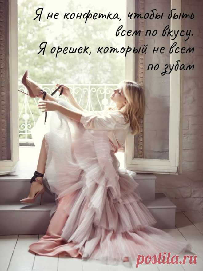 Выпуск №6564 - выпуск анекдотов сайта вокруг смеха