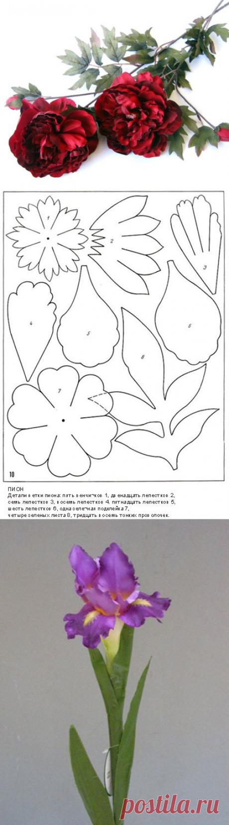 Выкройки для изготовления цветов из ткани