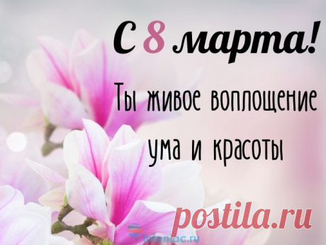 100 красивых и душевных поздравлений с 8 марта женщинам своими словами Если вы хотите красиво и оригинально поздравить мам, бабушек, коллег, учителей, подруг, жен и сестер, мы сделали для вас лучшую подборку поздравлений на 8 марта. 

Ежегодно в мире отмечают Международный женский день. 

Этот день посвящен всем женщинам и тому неоценимому вкладу, которые они вносят в наше общество.