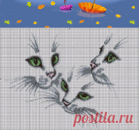 (21) Одноклассники