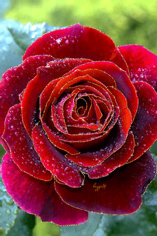 Мой Мир@Mail.Ru