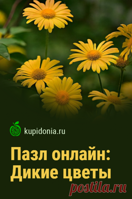 Пазл онлайн: Дикие цветы. Красивый пазл онлайн с жёлтыми цветами. из серий «Полевые цветы» и «Виды природа». Собери пазл на сайте!