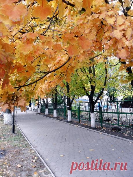 Кленовый лист - 26 Октября 2018 - Персональный сайт