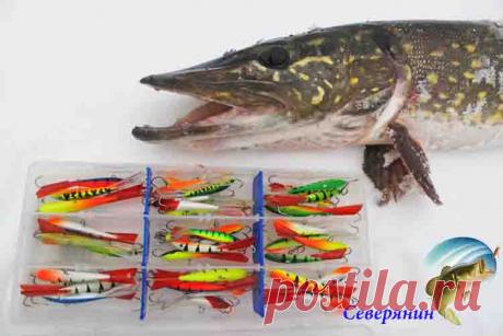 Самые уловистые балансиры на щуку Многие любители зимней рыбалки в прежнее времена ходил на лед за щукой исключительно только с блеснами иногда когда рыбалка не предусматривала активного поиска щуки на водоеме брали жерлицы и испол…