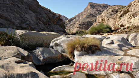 What are the best places to visit around the globe? We've picked the best countries, regions, and cities to travel to in the world. Read on to discover new destinations to add and visit Historical places in the world. If you're looking to save money and travel the world, these affordable spots should be on your list. At the end of every year, Lonely ...
I will provide the best information about travel and historical places.