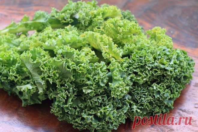 Какие продукты очищают организм: 10 ваших естественных спасателей