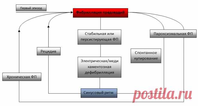 Мерцательная аритмия: лечение аритмии, профилактика, причины, симптомы - Propanorm.ru