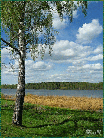 Мой Мир@Mail.Ru