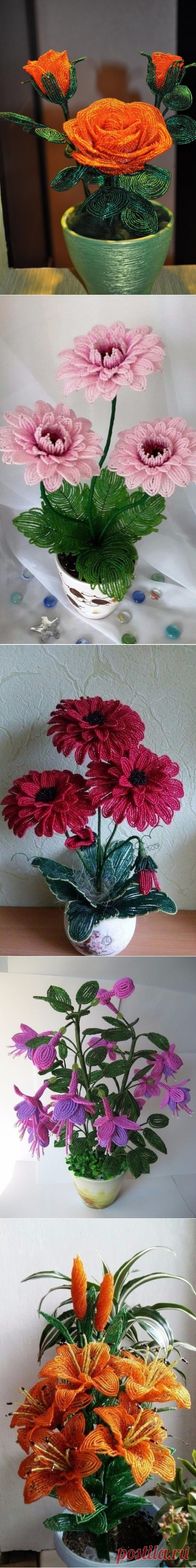 (99) Одноклассники