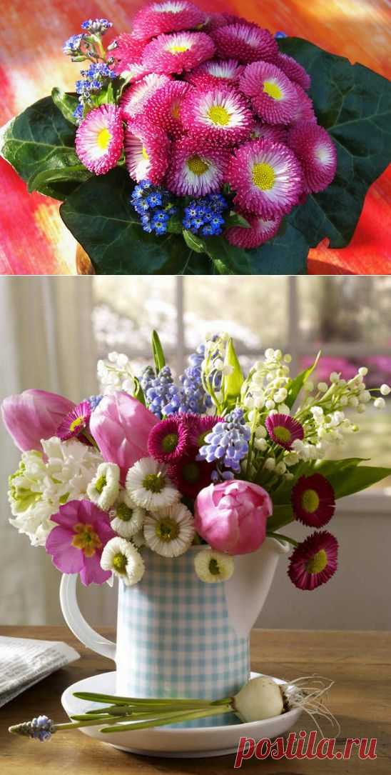 Весенние цветы в интерьере. МАРГАРИТКИ.