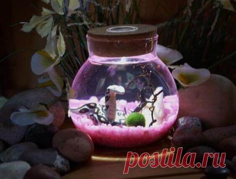 Миниатюрный аквариум как элемент декора ~ Planetalsad