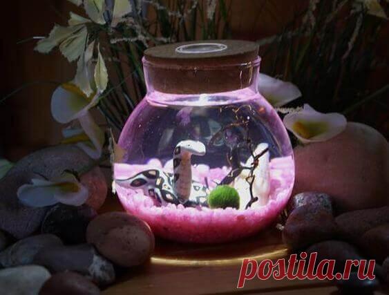 Миниатюрный аквариум как элемент декора ~ Planetalsad