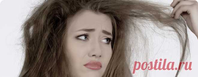 Волосы лоснятся, склеиваются в пряди и прилипают к голове. Вы только недавно помыли голову, а она уже кажется грязной. Виновники их неопрятного вида — сальные железы, расположенные у самой поверхности кожи. Эти железы вырабатывают и выделяют кожное сало, защищающее кожу от микробов и сырости. У некоторых людей железы работают настолько усердно, что слоем сала быстро покрывается каждый волос на голове. Проблему усугубляют наследственность, стресс, гормоны, неправильное питание, а также прием прот