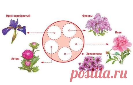 Школа цветоводства 🌸 Наш дом всегда в цветах 🌸