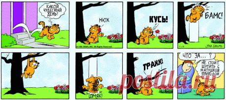 1980-07-13