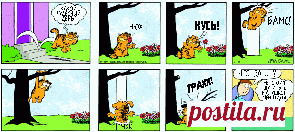 1980-07-13