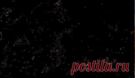 Бараньи рёбрышки «под черносливом и луком».