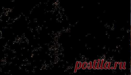 Бараньи рёбрышки «под черносливом и луком».