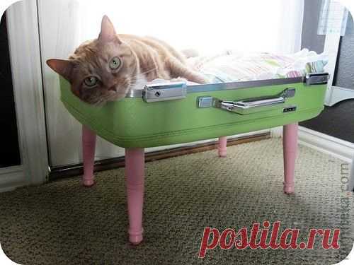 сделать домик для кошки своими руками: 128 тыс изображений найдено в Яндекс.Картинках