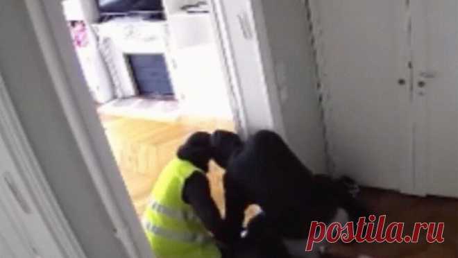 Грабитель выдал себя за курьера и напал с сообщниками на женщину, ожидавшую доставку. Грабитель выдал себя за курьера и ворвался с сообщниками в парижскую квартиру, в которой ожидали доставку. Об этом сообщает Actu17. Инцидент произошел 24 октября в 16-м округе Парижа. Трое мужчин проникли в квартиру, где находились ...