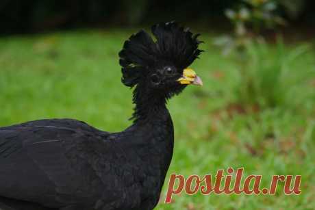 страницы которые создавались константина валерьевича сосницкого краснодар: 10 тыс изображений найдено в Яндекс.Картинках