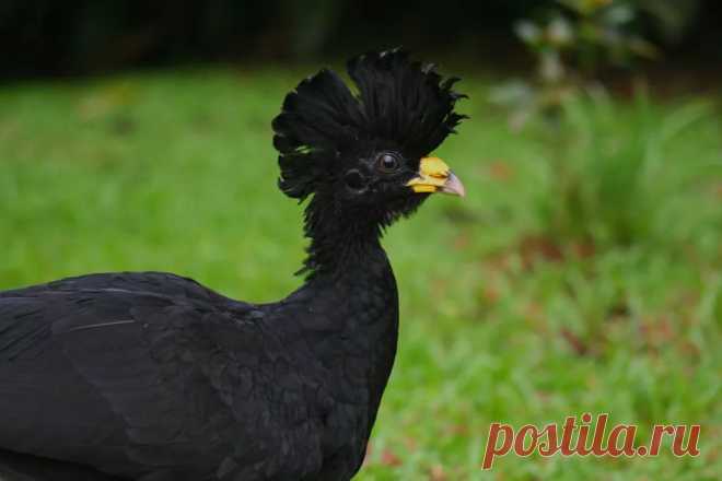 страницы которые создавались константина валерьевича сосницкого краснодар: 10 тыс изображений найдено в Яндекс.Картинках