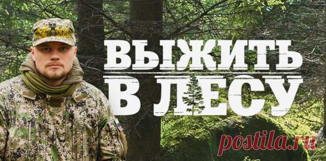 Реалити-шоу "Выжить в лесу", Россия (2015-2016) | Выживи сам