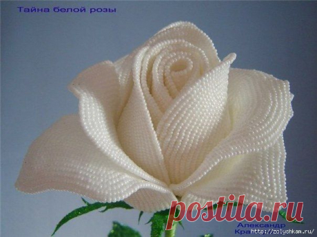 Французские розы из бисера .