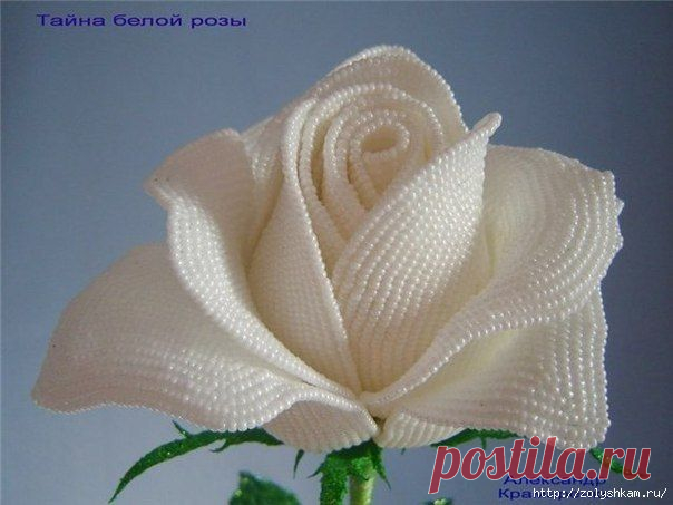 Французские розы из бисера .