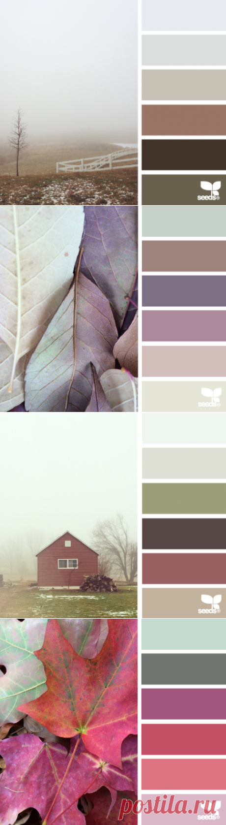 design seeds | for all who ♥ color