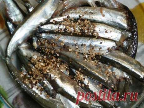 Мойва в пряном маринаде. Язык проглотишь | MASTER-FISHER.RU | Яндекс Дзен