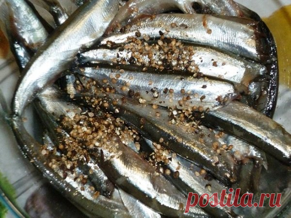 Мойва в пряном маринаде. Язык проглотишь | MASTER-FISHER.RU | Яндекс Дзен