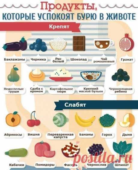 Продукты для пищеварения