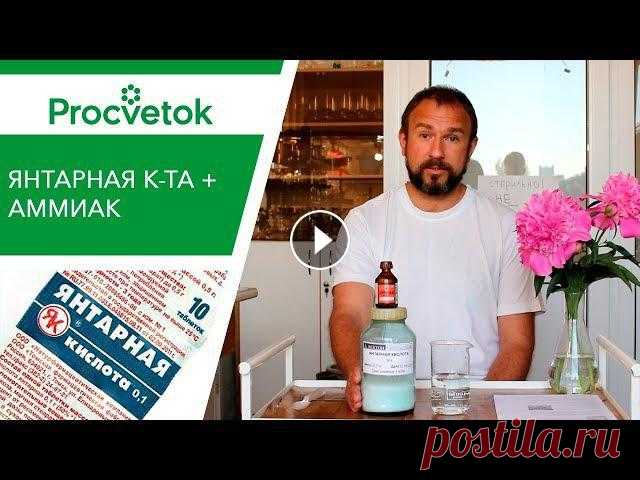 Янтарная кислота для подкормки растений. Готовим усиленный раствор! ✿Приобретая растения в магазинах Procvetok вы помогаете развитию канала!✔Россия: ✔Украина: ✔Задать вопрос, прочитать статью, поделиться фотографиями в...