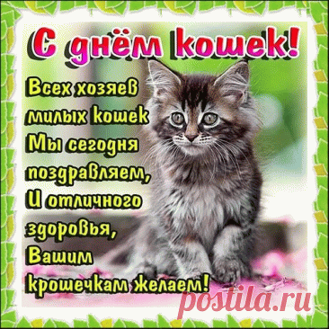 Живёт в доме как царица,
Важно ходит, сладко спит.
Если с кошкой подружиться —
Замурлычет, засопит.