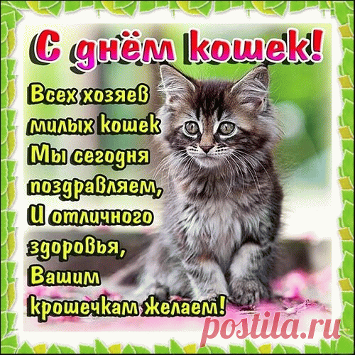 Живёт в доме как царица,
Важно ходит, сладко спит.
Если с кошкой подружиться —
Замурлычет, засопит.